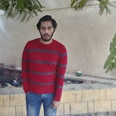 محمد سلطان, Senior React Native reactjs nodejs Developer