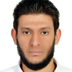 محمود عبد الجليل, Sr. MEP Construction Manager