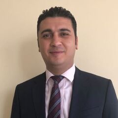 Mohab Elsadek, Sales Manager
