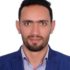 Hossam Elden ahmed Abd elaziz