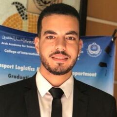 Mahmoud Mohamed , IT Specialist