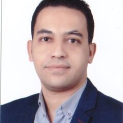 Hisham Mostafa Abd El Zaher Abd El Megaid, Finance Manager