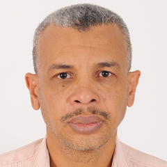 Mohammed Abdelgadir Abdalla Mohammed