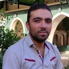 Mahmoud Kozy Buok, مهندس معلوماتية 