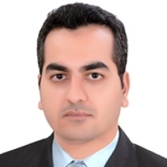 Mostafa Kamar