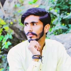 Muhammad Waqas