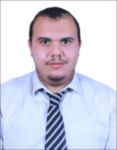 Ihab Kassem, Developer