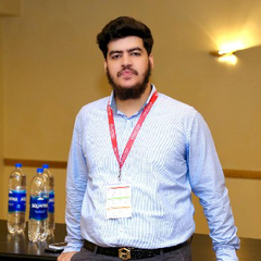 Ayman Abdul Hameed  Butt, Internship