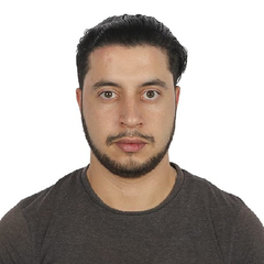 أنوار بومعزا, Freelance Digital Marketing Specialist