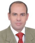 Helmy Mekkawy Attia, Area Manager 