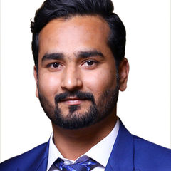 محمد شاه رخ, Software Developer