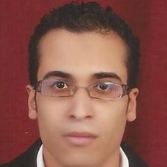 Mohamed Ibrahim, Agents auditor