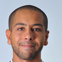 أحمد أمين, Consultant