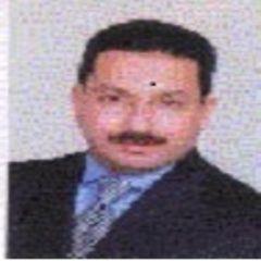 Yasser Hamoud, Tendering Manager