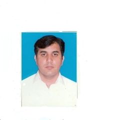 Ahmad Raza Abbasi, Finance Manager