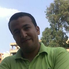 hany elghoul, Payroll Accountant
