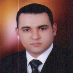 tamer elbarky, محاسب مالى - مدير خزينة