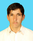 Majiid sherazi, Internet expert