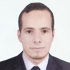Bassam Mohsen Mostafa ElBoghdady, Network Security Engineer