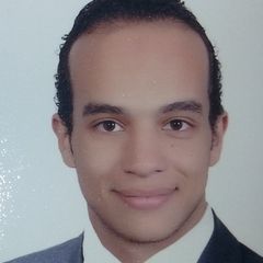 أحمد سيد حمادة, HR representative