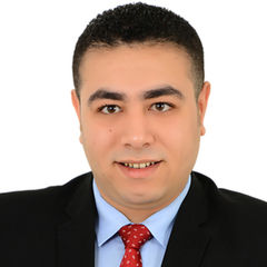 Amr Eltanahy, Lawyer