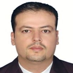 Emad Alsayed Almansi Almansi, Chief Accounting / ERP Consultant