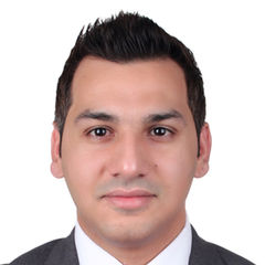 ALI AFZAAL, Ticketing, Visa & Sales supervisor