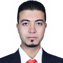 فادي محمد عبد الحميد النويهي, Procurement & Development Engineer