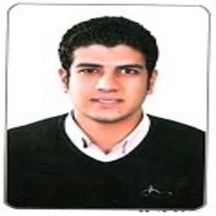 Hossam Hashish, IT Supervisor