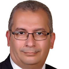 Tarek Mehrem, Library Director