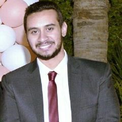 Hassan Mostafa, Lawyer