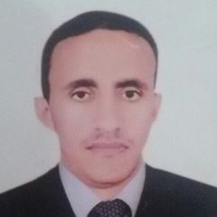 عبد المعين محمد عبد المجيد, Electrical Maintenance Manager