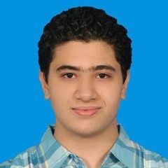 kareem El-Hanafy, freelancer