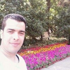 houssem eddine gheddab