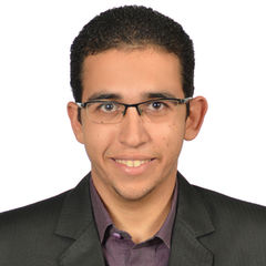 Mahmoud Lotfy, Industrial Engineer