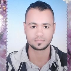 alaa abd-elsalam mohammed