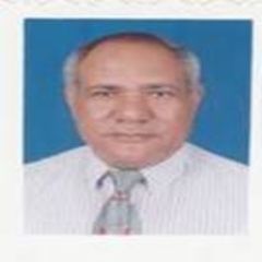 Wahib L. K. Botros, Construction Super intedent & Assist. construction Manager