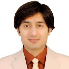 Najam Ali, Senior Accountant