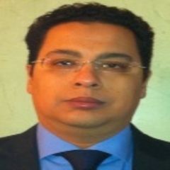Wael Amin, General Accounting, Financial Analysis & Budgeting General Manager