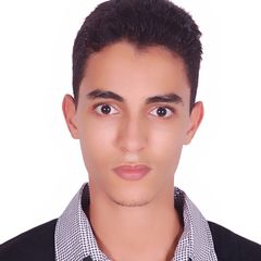 Mohamed Ousalah, Web Developer