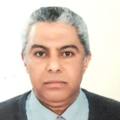Ahmed Elsayed, Procurement Manager