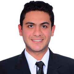 Amr Ganagy, Sales Engineer