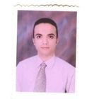 Amr Mohammed Sayed Hashem, High School English Teacher