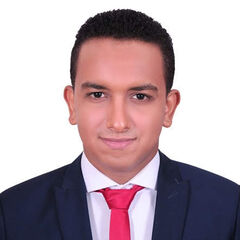 Mohamed hagagy, sales officer