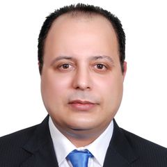 Wael Elmehayass, مدير مبيعات