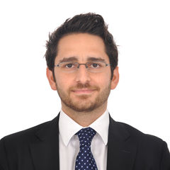 Ghaith Abdul Rahman, Associate Manager - Government Strategy Consulting