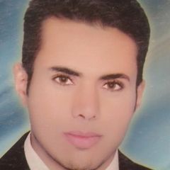 عبدالخالق عبدالمؤمن عبده شريف, محاسب خزينة ومحاسب مبيعات