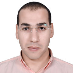 عرفه ابراهيم محمد ابراهيم, Senior Electrical Engineer