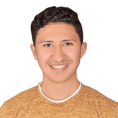 اسامه الجمال
