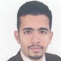 Mahmoud Gomaa, highway design engineer